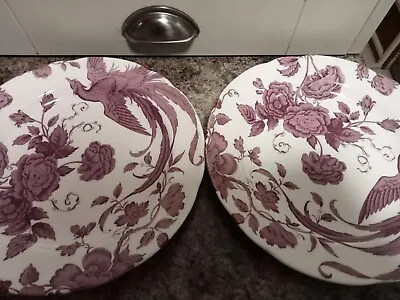 Buy Two Spode Kingsley 10.5 Ins Dinner Plates. White And Purple. • 12£