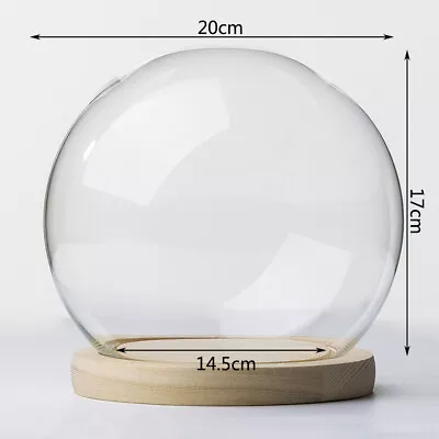 Buy Multi Size Miniature Glass Dome Display Bell Jar W/ Wood Base For Doll Storage • 47.49£