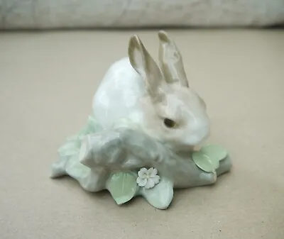 Buy Lladro    Rabbit Eating    #4772 • 28£