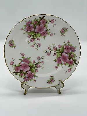 Buy New Chelsea Staffs Bone China Tea Salad Plate Dessert 7-3/4  Floral Vintage • 8.07£