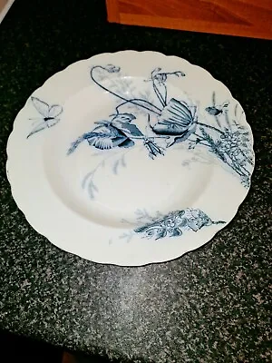 Buy Antique RH&S Hammersley Bone China Plate, 10.5 , Dated 1880's - 1900 • 42£