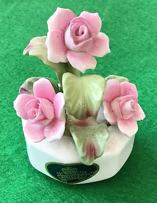 Buy Aynsley Bone China Staffordshire England Flower Display In Pot. • 4.95£
