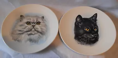 Buy Pair Of Vintage Poole Pottery Cat Plates - Persian & Black Cat By Derick Bown • 4.99£
