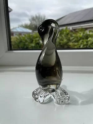 Buy Murano Glass Penguin • 35£