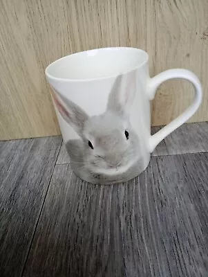 Buy Botanical Discovery Grey Rabbit Fine China Mug No. 76185 Cute Bunny • 9.99£
