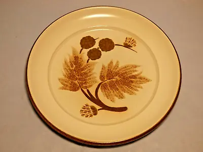 Buy Denby Cotswold Stoneware Plate Brown Side Country Fayre Collection Rustic Autumn • 4.99£