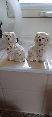 Buy A Lovely Looking Pair Of Early Rare Beswick Small China Staffordshire Gloss Dogs • 60£
