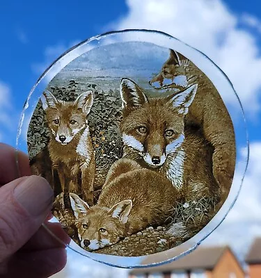 Buy Stained Glass Fox Roundel Pieces Traditional Kiln Fired 10 Cm Permanent Foxes • 25£