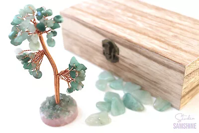 Buy ✨ Money Tree | Crystals For Wealth, Luck & Abundance | Green Aventurine GIFT 🍀 • 13.99£