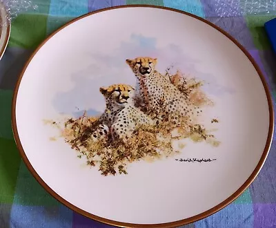 Buy Wedgwood David Shepherd Cheetah Plate 27cm • 10£