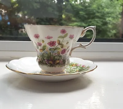 Buy Royal Albert Sunnyside Series Michele Pink Floral Garden Cup & Saucer Bone China • 14.99£