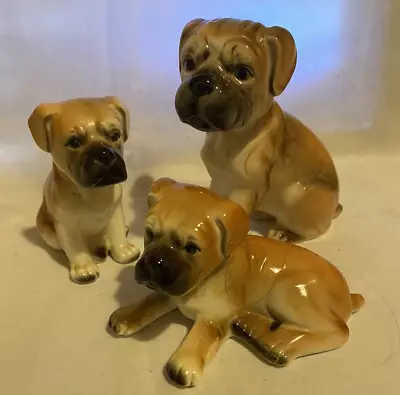 Buy Set Of 3 Boxer Dog Ornament Figures, Bone China • 5£