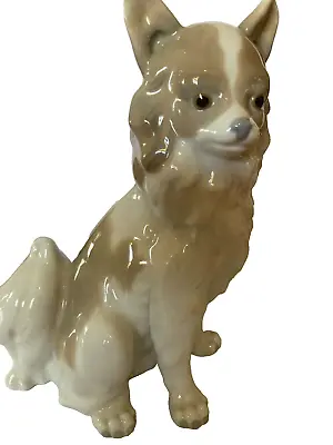 Buy Rare Nao Long Haired Chihuahua Papillion Dog • 72.04£