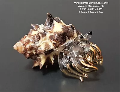 Buy BEAUTIFUL Glass CRAB HERMIT CRAB LOBSTER NATURAL SHELL Glass Figure Glass Animal • 5.15£