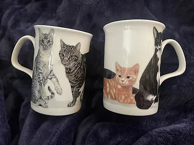Buy 2 X Roy Kirkham Fine Bone China Cats Galore Cat Lover Mugs Unused Gift • 14£