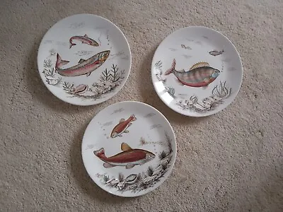 Buy Fish Plates Vintage 2in Good Condition One Has Mark View Image's  • 12£