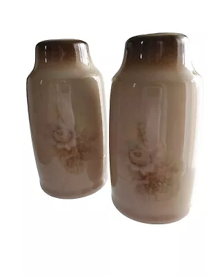 Buy VTG Denby Memories Salt & Pepper Pots Shakers Stoneware Brown Beige Floral • 8.50£