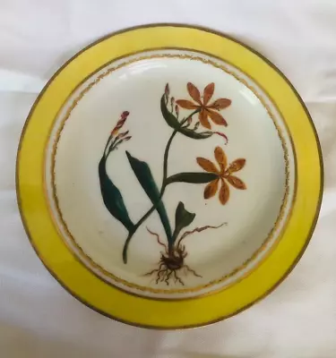 Buy Rare Antique Derby C1795 Ixia Chinensis Botanical Painted Porcelain Gilded Plate • 247£