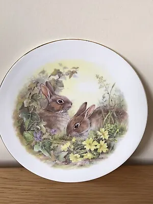 Buy Pair Of Rabbits Porcelain Ornaments Plates Fine Bone China Made In England  • 12£