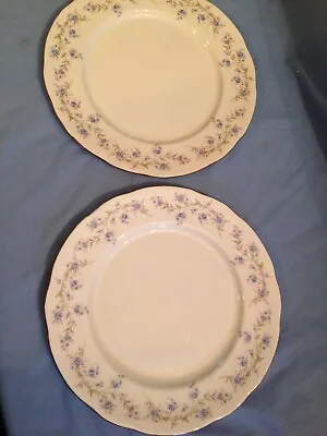 Buy 2 X Bone China Dinner Plates 26cm Duchess Tranquility • 12£