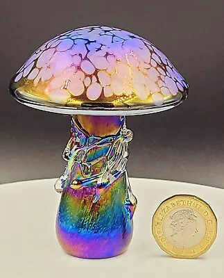 Buy Neo Art Glass Handmade Purple Iridescent Mushroom Paperweight Signed K.Heaton • 19£