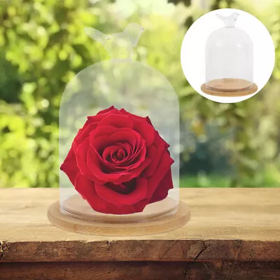 Buy Eternal Flower Bell Jar Terrarium Display Dome Cover-RS • 12.98£