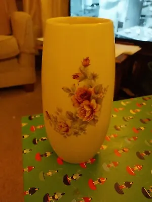 Buy New Devon Pottery Vase • 4.50£