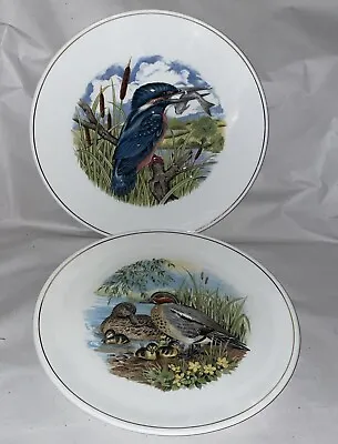 Buy Spode - Hammersley Bone China Kingfisher & Duck Plate With Raised Detail • 12.79£