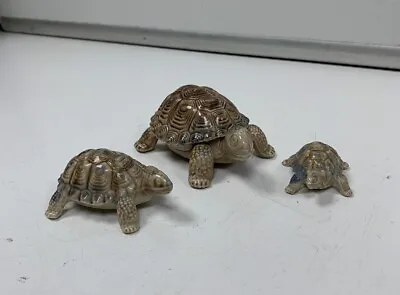 Buy Wade Porcelain Tortoise Figurines Made Made In England Set Of 3 • 12.99£