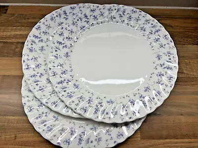Buy 3 Wedgwood Windrush Dinner Plates Bone China Blue White Fluted 11  28cm • 27£