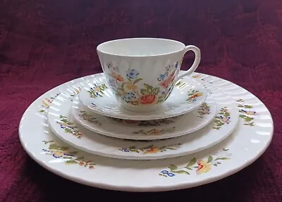 Buy Aynsley COTTAGE GARDEN Place Setting: Dinner, Salad, Bread Plates, Cup & Saucer  • 86.73£
