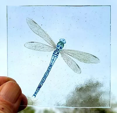 Buy Stained Glass Dragonfly Piece Traditional Kiln Fired 8 Cm X 8 Cm Permanent • 19£