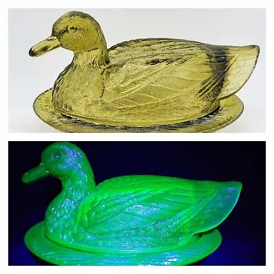 Buy Tiffin Glass Pale Green Duck On Nest GLOWS Covered Candy Dish Glass Eyes Large • 66.02£