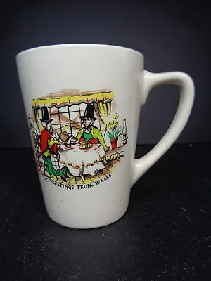 Buy Vintage Welsh Lady Mug - Greetings From Wales - New Devon Pottery • 9.99£