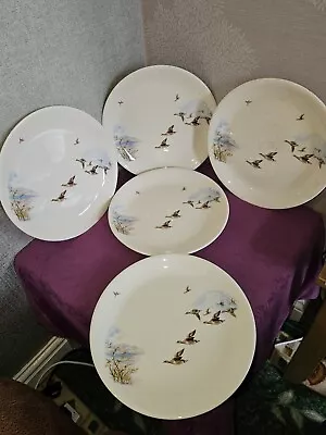 Buy Set Of 5 Rare Vintage Alfred Meakin 'Flight' Flying Ducks 10  25cm Dinner Plates • 14.99£