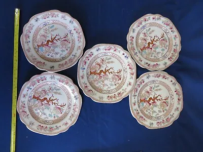Buy Indian Tree 7 Inch Plates - Used - Good Condition - Royal Albion Ware X 5 • 1£
