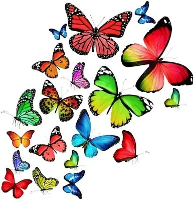 Buy Stained Glass Butterfly Stick On Window Sticker Art On Glass • 6.39£