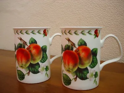 Buy Roy Kirkham Bone China  Pair  Redoute Fruit  Apple Mugs - Made In England • 8£