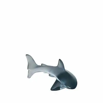 Buy LALIQUE Shark Persepolis Blue Crystal Sculpture (10673100) FREE UK DELIVERY • 395£