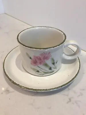Buy Vintage  Midwinter  STONEHENGE Invitation Cup & Saucer In VGC FOR Solanmarie • 7.50£