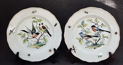 Buy Pair Of Antique Meissen Hand Painted Porcelain 9.5 Inch Cabinet  Plates “Birds” • 37£