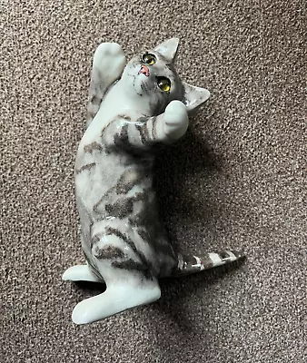 Buy Winstanley Rare Cat,glass Eyes, 24 Cm Tall,in Good Condition. • 95£