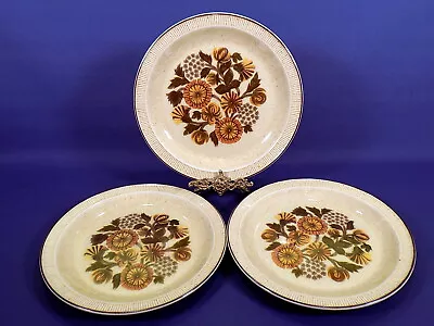 Buy Poole Pottery Thistlewood Dinner Plates X 3 • 32£