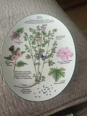 Buy Royal Worcester  Worcester Herbs  Oval Deccoative Plate • 6£