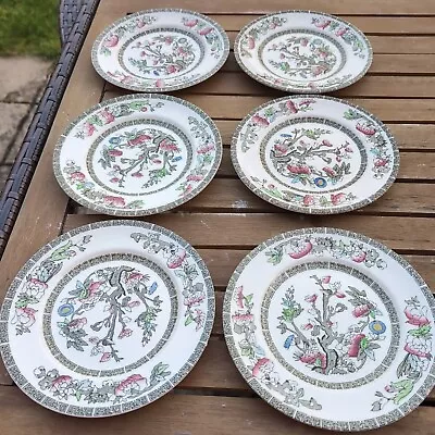 Buy 6 X Johnson Brothers Indian Tree  Tea Plates 7 Inch (H) • 15£