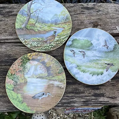Buy Three Royal Doulton Waterside Canadian Geese & Heron Collectors Picture Plates • 5£