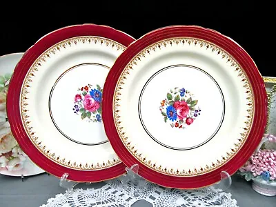 Buy AYNSLEY Set Of 2 Dinner Plates Dorchester Pattern Red Band Pink Rose Floral Set  • 72.39£