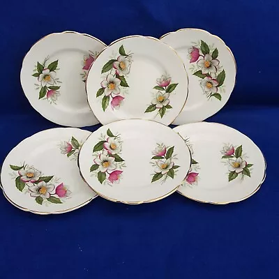 Buy Regency English Bone China 6 Side Plates Floral Pattern • 4.99£