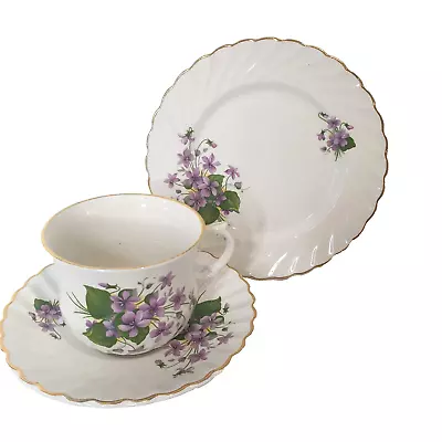 Buy Vintage Old Foley James Kent Tea Cup, Saucer & Plate Trio Purple Violets • 25.34£