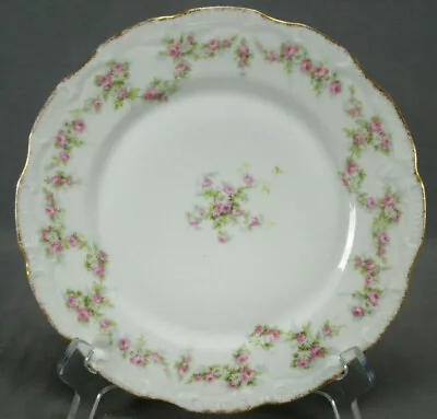 Buy Coronet Limoges Pink Roses White Daisies & Gold 9 Inch Plate C. 1906-1920 • 18.97£
